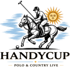 handycupnavarro.com